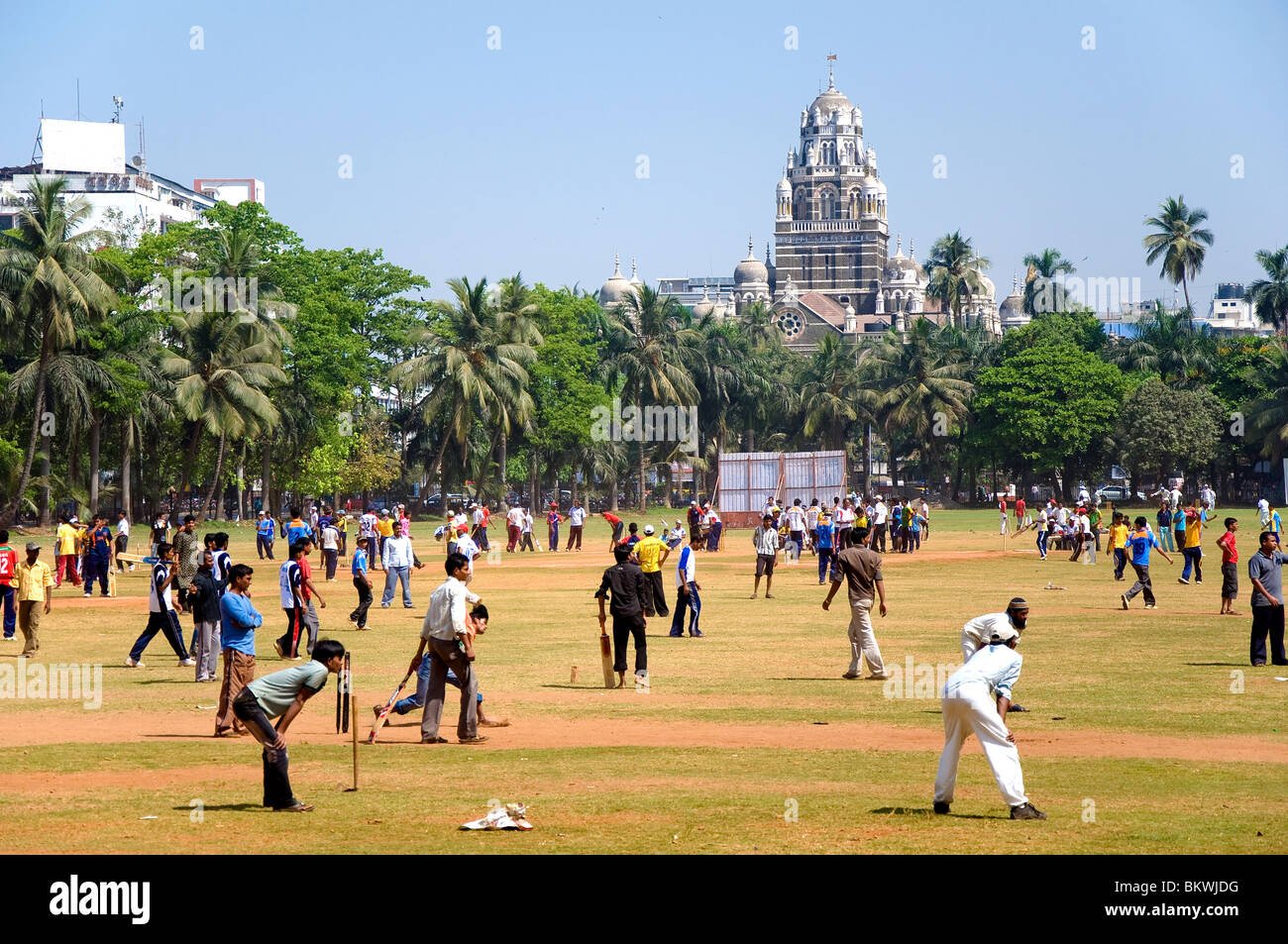 Cricket In Mumbai